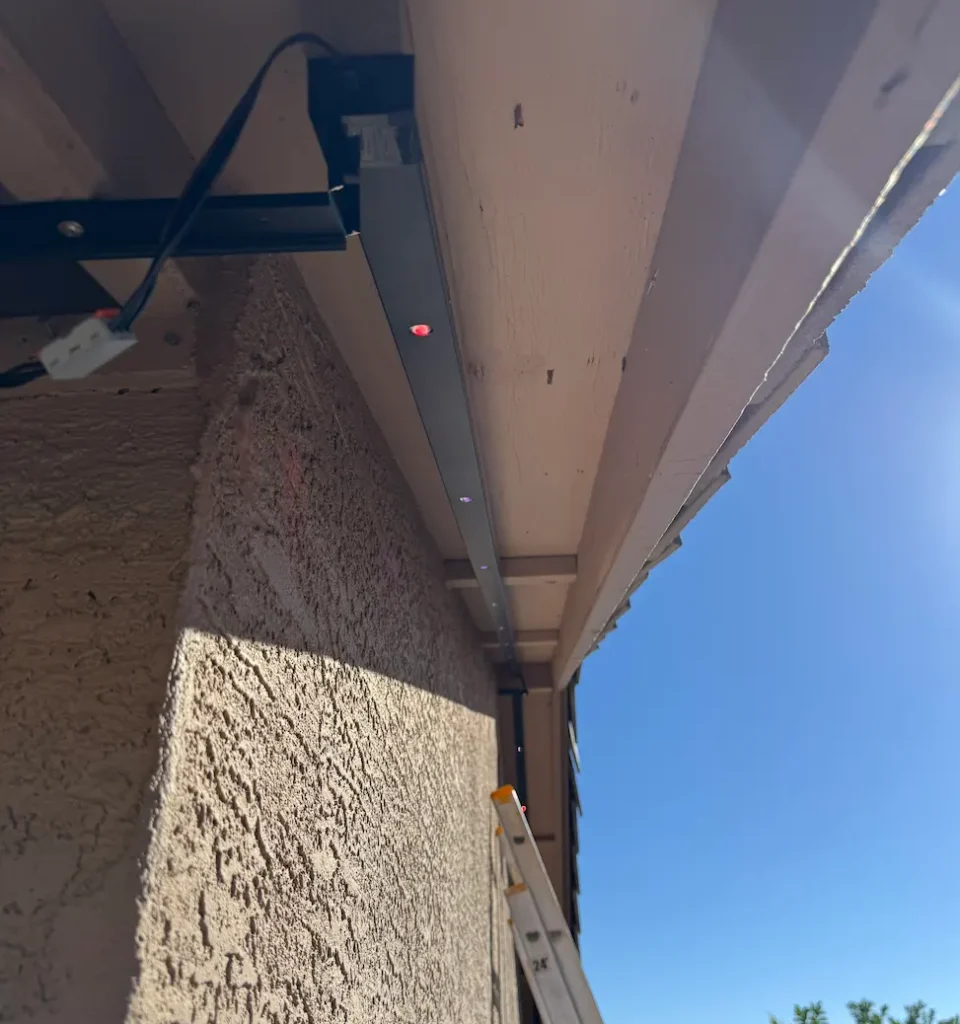 Before: House Lights